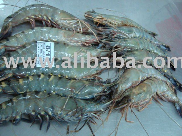 Black Tiger Shrimp, Fresh water Shrimp, Harina Shrimp, Cat Tiger Shrimps, Silver Pomfret, etc.