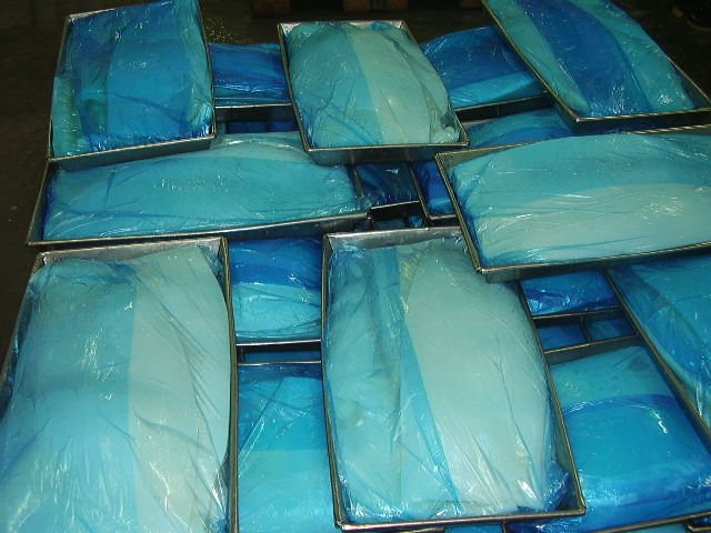 Frozen Giant Squid Fillets