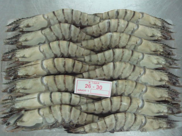 Shrimp, Pangasius fillet, cu tt le fish,  Squid , Octopus
