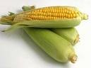  corn  pellet