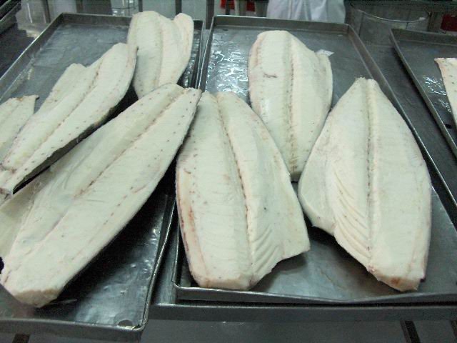 Oilfish Fillet