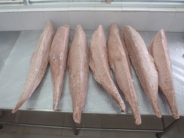  Tuna   loin s/ steak /cube