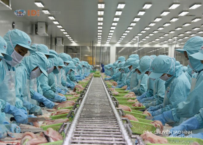 Pangasius