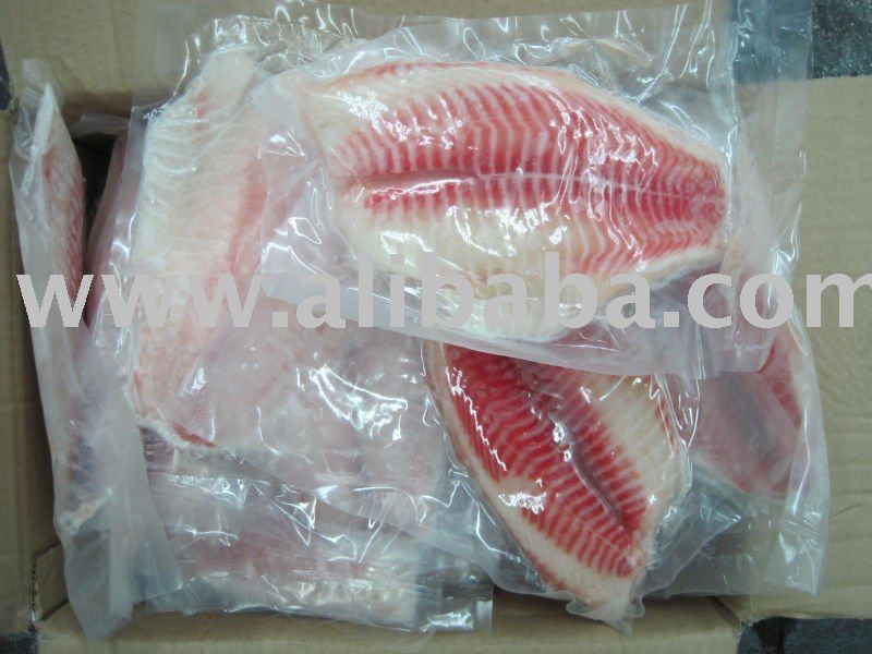 Tilapia
