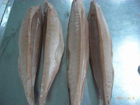  Tuna  Albacore