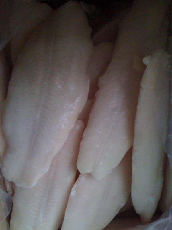 pangasius fillet