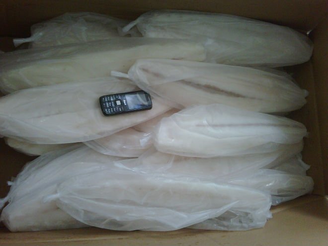 Oil Fish Fillet