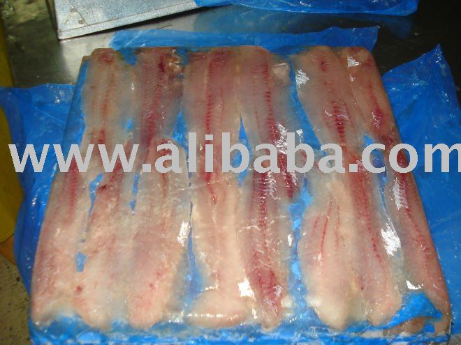 Frozen Hake Fillets