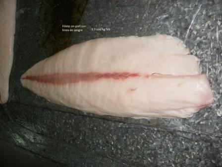 Escolar Oil Fish