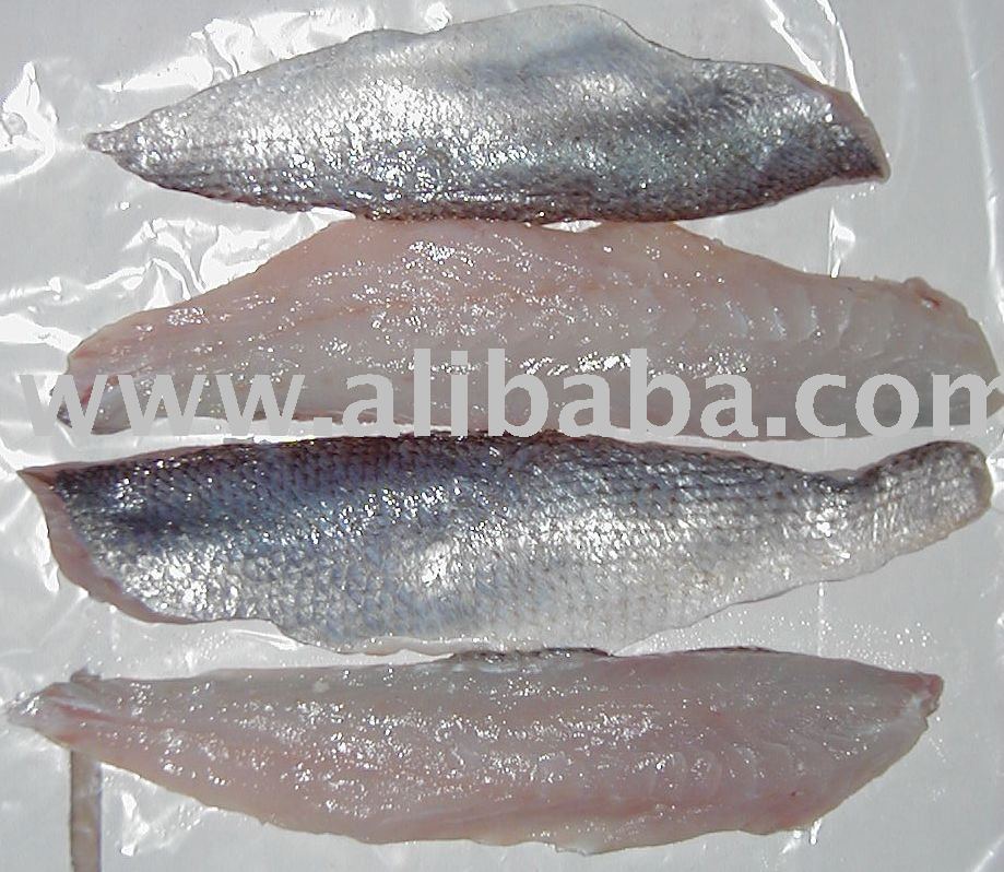 Argentine Sea  Trout   Fillets 