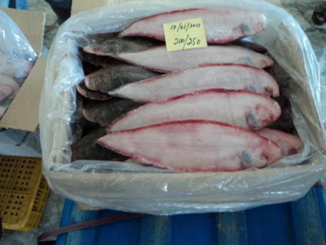 TONG SOLE FISH