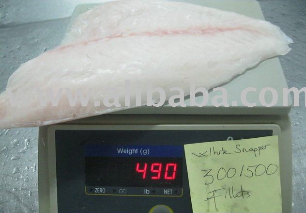 frozen white snapper fillet
