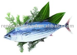 Renhua Frozen Cleaned Mackerel