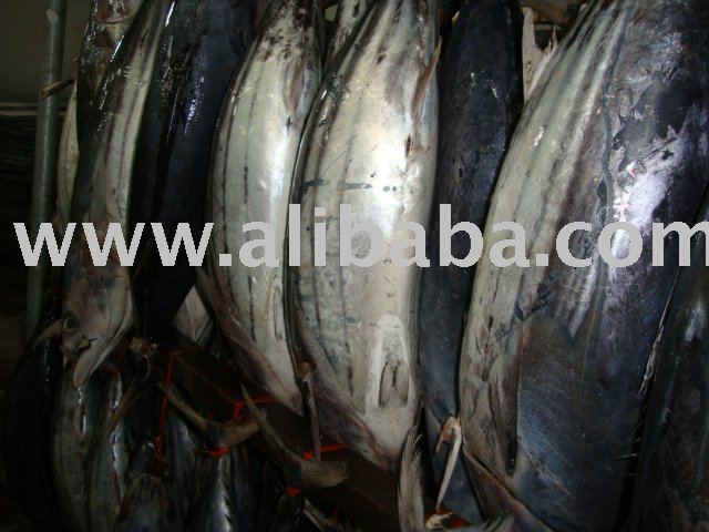 Skipjack frozen Tuna,Thailand price supplier - 21food