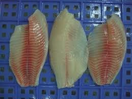 Frozen Horse Mackerel