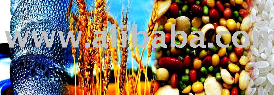 Meliorate International All Products