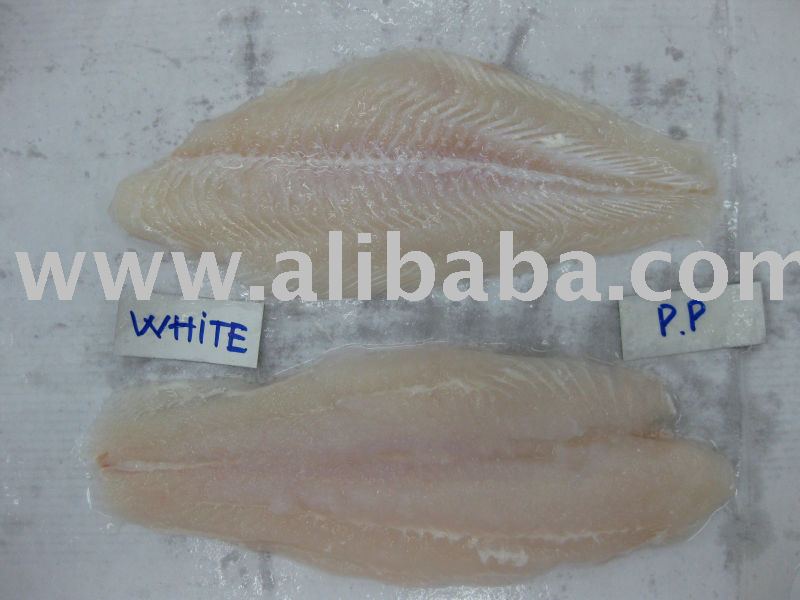 CATFISH (HYPOPHTHALMUS)