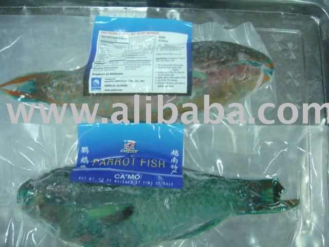 IQF PARROT FISH