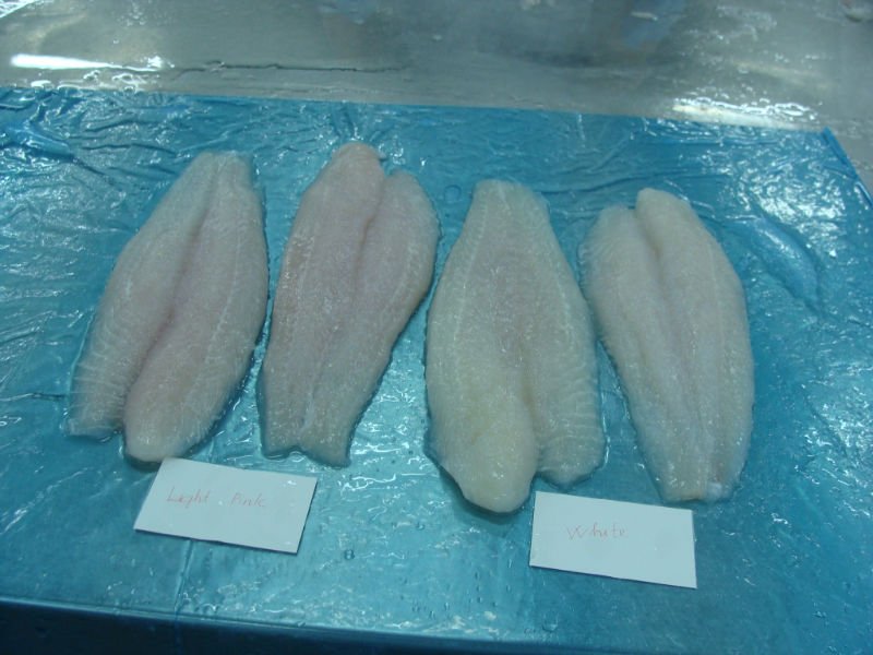 Frozen Pangasius fillet