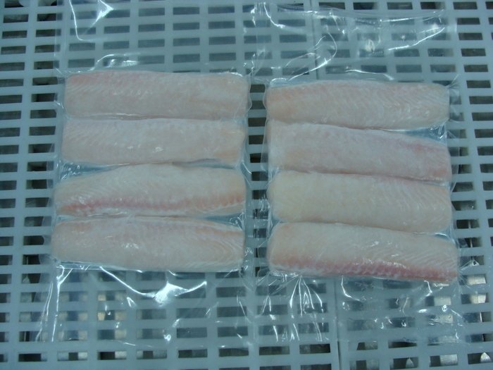 Pangasius Loins