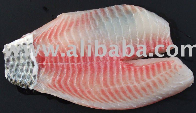 Tilapia fish