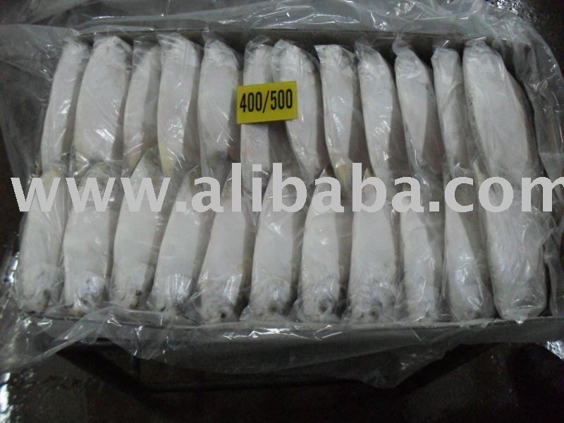 Silver Pomfret