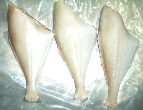 Leather Jacket Fish