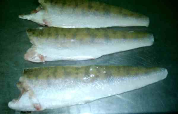 Pike Perch Fillet, Pike  Fillet