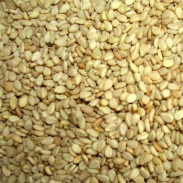 seasame seed