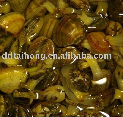 Frozen boiled clam Vacuum Snacks