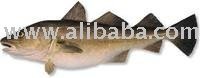 Cod