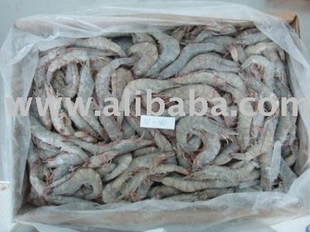 White Vannamei Shrimp HOSO 31/40 - 5 KG (BULK PACK)