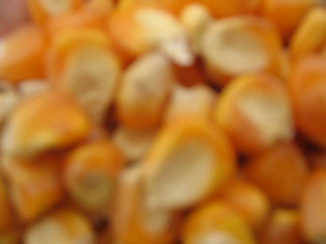  Corn   Feed  Grade