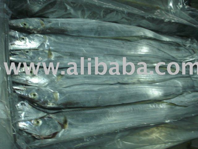 frozen ribbon fish