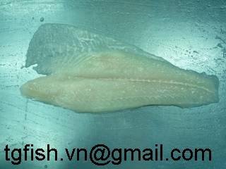 White pangasius fillet (basa fillet) - Untrimmed