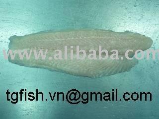 Red pangasius fillet (basa fillet) - Welltrimmed