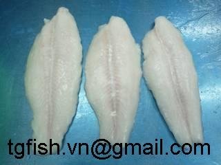 White pangasius  fillet  ( basa   fillet ) - Well-trimmed