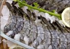 Black Tiger PDTO (Peeled Deveined Tail On) Shrimp