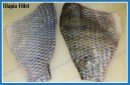 FROZEN  TILAPIA   FILLET   SKIN -ON