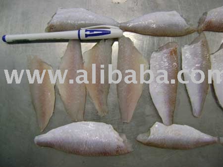SELL  FROZEN   THREADFIN   BREAM  FILLET