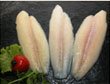 Frozen Pangasius Fillet