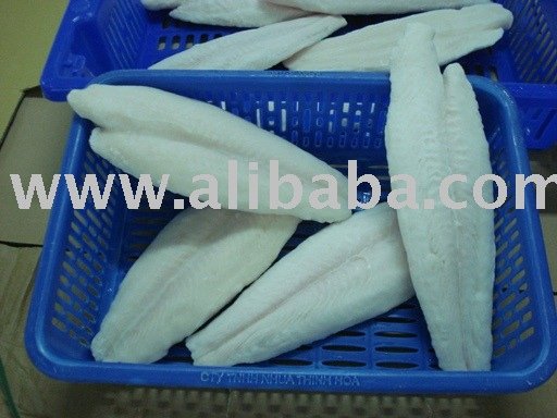 Frozen Pangasius Hypophthalmus Fillet