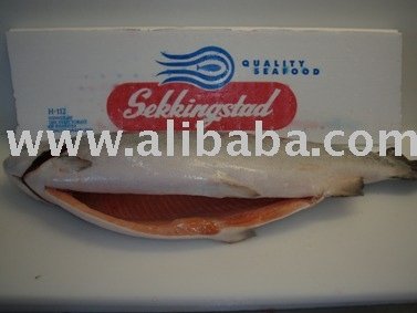 Frozen Salmon Trout from Norway