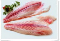 Sell Frozen  Pangasius   Hypophthalmus   fillet 