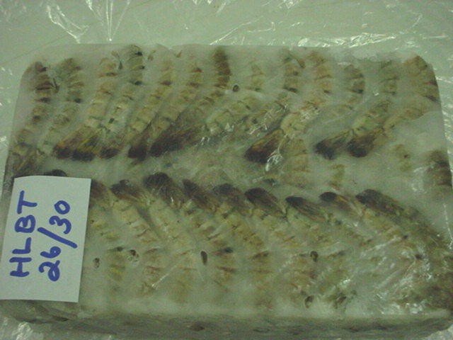 Black Tiger Shrimp