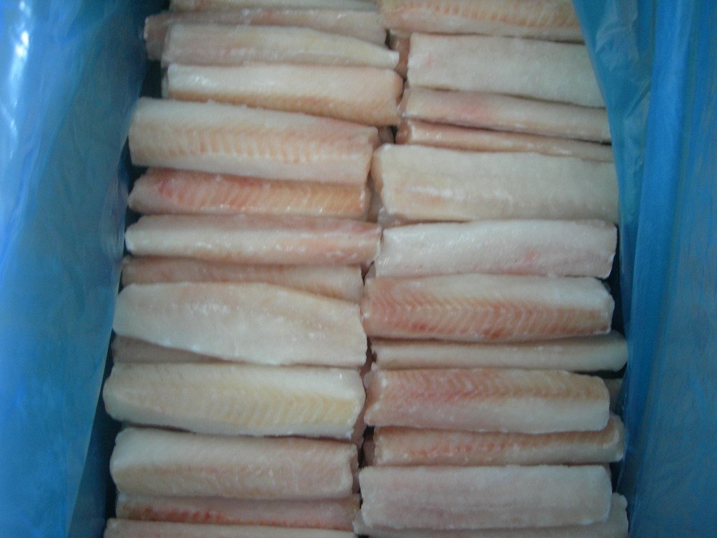 IQF pollock Loin