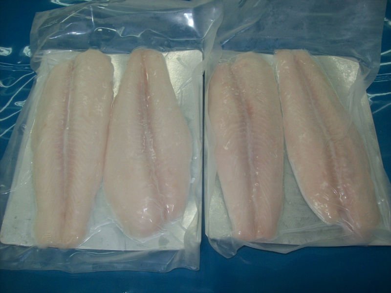 Frozen Pangasius Fillet