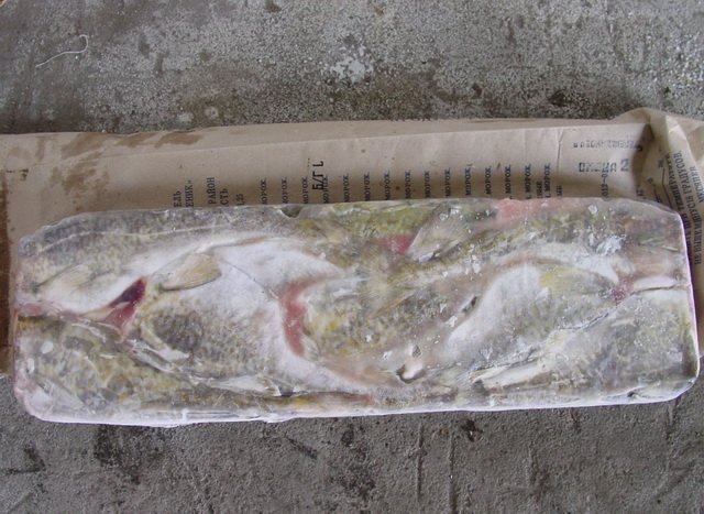 Frozen Pacific Cod ( Gadus   macrocephalus ) HG