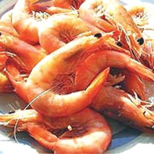 sea food