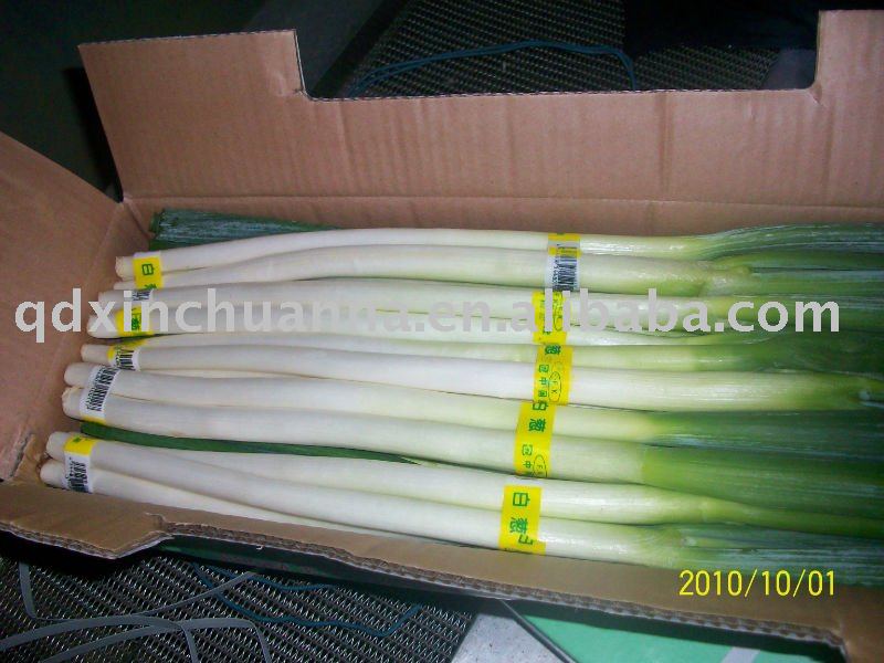 green onion